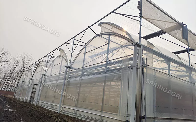 150 Micros PO Clear Film ဖန်လုံအိမ်