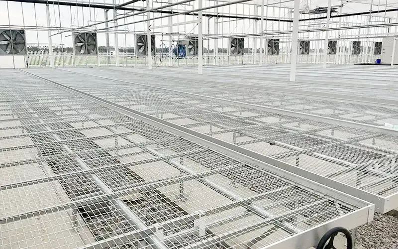 Greenhouse System ရဲ့ အကျိုးကျေးဇူးတွေက ဘာတွေလဲ။