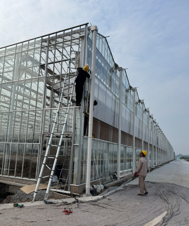 ကျွန်ုပ်တို့၏ multispan glass ဖန်လုံအိမ်သည် ပြီးစီးတော့မည်ဖြစ်သည်။