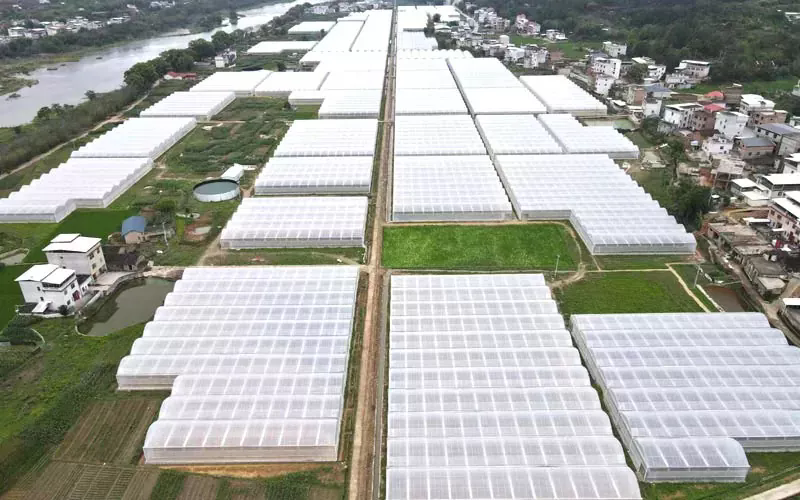 Shenyang ရှိ ကျွန်ုပ်တို့၏ရုပ်ရှင်ဖန်လုံအိမ်နေရာသည် နှင်းများကျနေပါသည်။