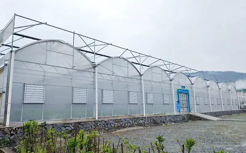 Multispan ပလပ်စတစ်ရုပ်ရှင်ပလတ်စတစ်ရုပ်ရှင်ဇာတ်ကားများ၏ဝိသေသလက္ခဏာများကဘာလဲ။