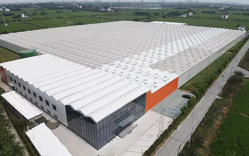 Multispan Glass Greenhouse ၏အားသာချက်များ