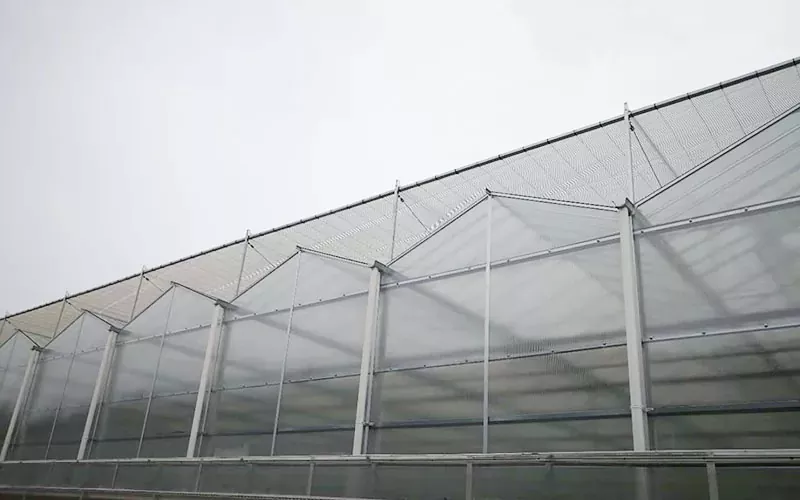 အဆင့်မြင့် PC Greenhouse နည်းပညာသည်ရေရှည်တည်တံ့ခိုင်မြဲသောစိုက်ပျိုးရေးဖြစ်သည်