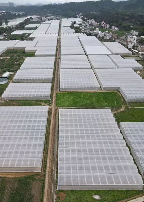 Bird's-eye view ပရောဂျက်