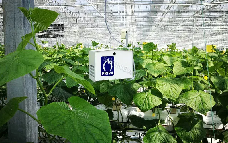 Smart Agriculture စိတ်ကြိုက်ဖန်လုံအိမ်ဖြေရှင်းချက်