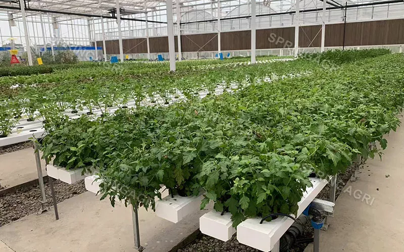 ဒေါင်လိုက် NFT စိုက်ပျိုးခြင်း Hydroponic ကြီးထွားမှုစနစ်များ